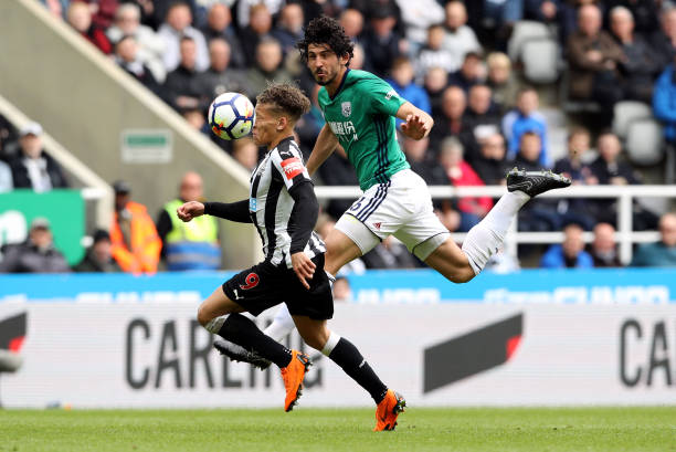 展现了他们 展现了他们